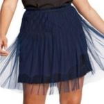 Rodarte Navy Lace Tulle Pleated Skirt Blue Size 2 Photo 8