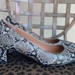 Vionic  Mia Snake Print Kitten Heels Size 6.5 Photo 0