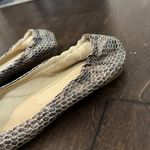 Stuart Weitzman Women's  Snakeskin Ballet Flats Shoes Sz 7 M Photo 9