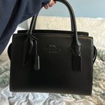 Coach Large Andrea Carryall Photo 3