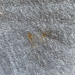 Wild Fable Grey Flare Sweatpants Photo 3