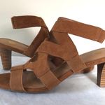 Dress Barn Tiffany Tan Gladiator Sandals Photo 5