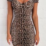 Tiger Mist Toronto Dress Photo 0