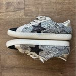 Vintage Havana Bianca Sneaker Grey Snakeskin Black Glitter Star 7 Gray Photo 9