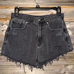 American Eagle - size 6- shorts- black- Mom jean Photo 0