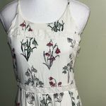 Disney  Collection By LC Lauren Conrad Dress Cottage Core Alice In Wonderland Photo 2