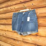Good American NWT  Stretch Plus Size Cut Off High Waist Denim Jean Shorts Photo 3