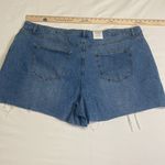 Cotton On  curve high rise 90s cutoff shorts- Plus Size 24 Photo 5