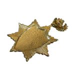 Vintage Heraldic Lion Crest Brooch Red Enamel Crown Starburst Coat of Arms Pin Photo 4