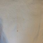 Madewell White Vintage Jeans  Photo 6