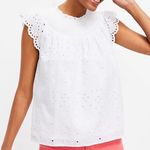 Loft Eyelet Smoke Blouse NWT Photo 6