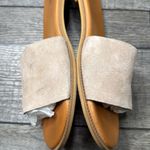 Treasure & Bond  Tan Suede Slide Sandals Photo 6