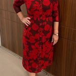 CAbi  Long Sleeve Shirt Dress Floral mesh XS 4392 button down red burgundy Photo 2