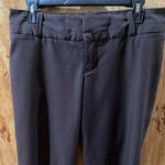 Mossimo Supply Co Mossimo Capris Chocolate Brown 6 Stretch Photo 5