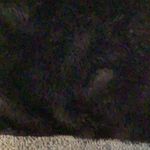 Tweed Women’s Neck Wrap Preloved Gray Photo 3