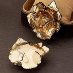 ZARA NWT❗️ Enamelled Floral Earrings Photo 7