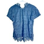 Beldini Black Crochet Knit Long Sleeve Blouse Size Large – Boho Photo 1