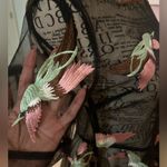 Endless Rose  Large (S) Exquisite Birds Art-To-Wear Hi-Low Sheer Blouse Cover Photo 10