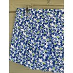 Abercrombie & Fitch Blue Pansy Flower Allover Floral Shorts Teen Womens 00 24 Photo 5
