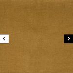 Toad & Co  Scouter Cord Long-Sleeve Shirt - Women's Photo 1