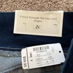 Christopher & Banks  Jeggings SIZE 14W Photo 2