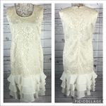 Leslie Fay sleeveless
Beautiful lace dress with layered ruffles on the end. Photo 2