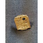 Lions International Pinback Vintage 1974 Lions Club 100% Attendance Award Brooch Photo 3
