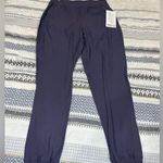 Lululemon NWT Adapted State High-Rise Fleece Jogger Full Length
Size 8 Photo 0