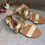 Material Girl Elastic Gladiator Sandals Photo 5