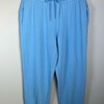 Aerie Jogger Style Sweatpants Blue Pull On Elastic Drawstring Waist Comfy NEW Lg Photo 0