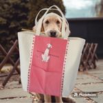 I Kiss My Dog Fun Beach Canvas Pet Lover Tote Coral on Tan NEW Photo 5