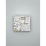 Harry Potter NEW-Sterling Silver 14Kt Gold Plated  Earrings Set Photo 3