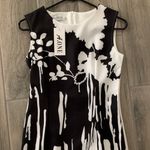 Justyle black and white dress Size L Photo 1