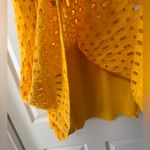 Anthropologie  The Somerset Maxi Skirt Eyelet Eyelet Edition Lined Yellow Mango Photo 5