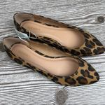Old Navy Navy Pointy Faux- Suede Animal Print Flats Sz 7 Photo 11