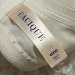 Cacique  40DD Elegant Lace Trimmed Bra in Cream and Tan two available identical Photo 3