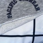 PacSun Gray Shorts Photo 1