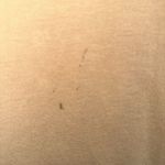 Baby Phat  Womens Beige Tan Gold Y2K Rouched VTG Short Sleeve Top Sz 3X Photo 4