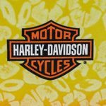 Harley Davidson Y2K  Ombre Hawaiian Hibiscus Tank Top Photo 4