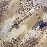 Emma James  Women's Maxi Skirt Sz 12 Animal Print Long Silky Cheetah Back Slit‎ Photo 3