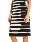 Calvin Klein Black and White Body con Dress size Small EUC Photo 0