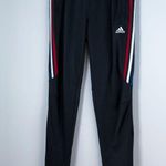 Adidas Climacool Joggers Track Pants Womans Size Large Stripes Gym Photo 0