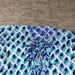 Lilly Pulitzer Lily Pulitzer Lilly Dress Blue Photo 3