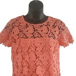 Liz Claiborne Women's Petite Large Coral Lace Short Sleeve Blouse Top NWOT Photo 7