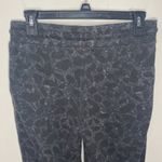 Z Supply  Rhye Wildcat pants in black size XS Photo 4