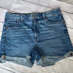 American Eagle Denim Mom Shorts Photo 0