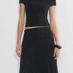 Wilfred Aritzia  Twirl Pleated Skirt Photo 0