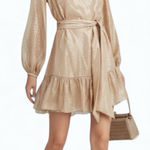 Intermix  Margot Metallic Silk Georgette Mini Dress NWT Size 4 Photo 0