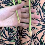 SEEA Solanas Surf Suit SwimSuit One Piece Swim Womens Womens Medium Brown Photo 6