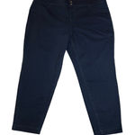 Terra & Sky Mid Rise Pull On Skinny Jeggings Size 3X NEW Minimalist Casual Photo 0